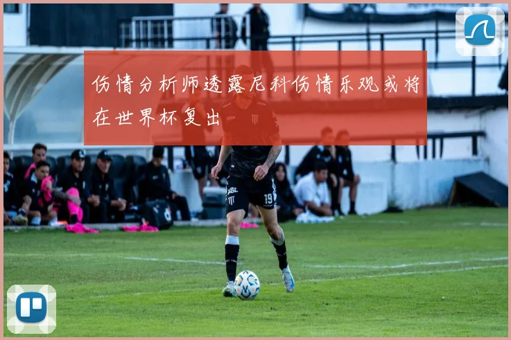 伤情分析师透露尼科伤情乐观或将在世界杯复出